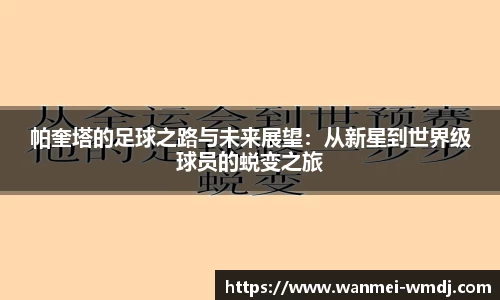 完美电竞官方网站